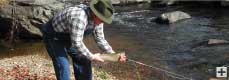 Beech Creek Mountain Property