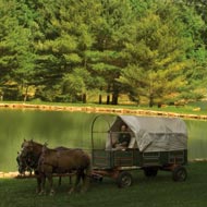 Beech Creek Horses